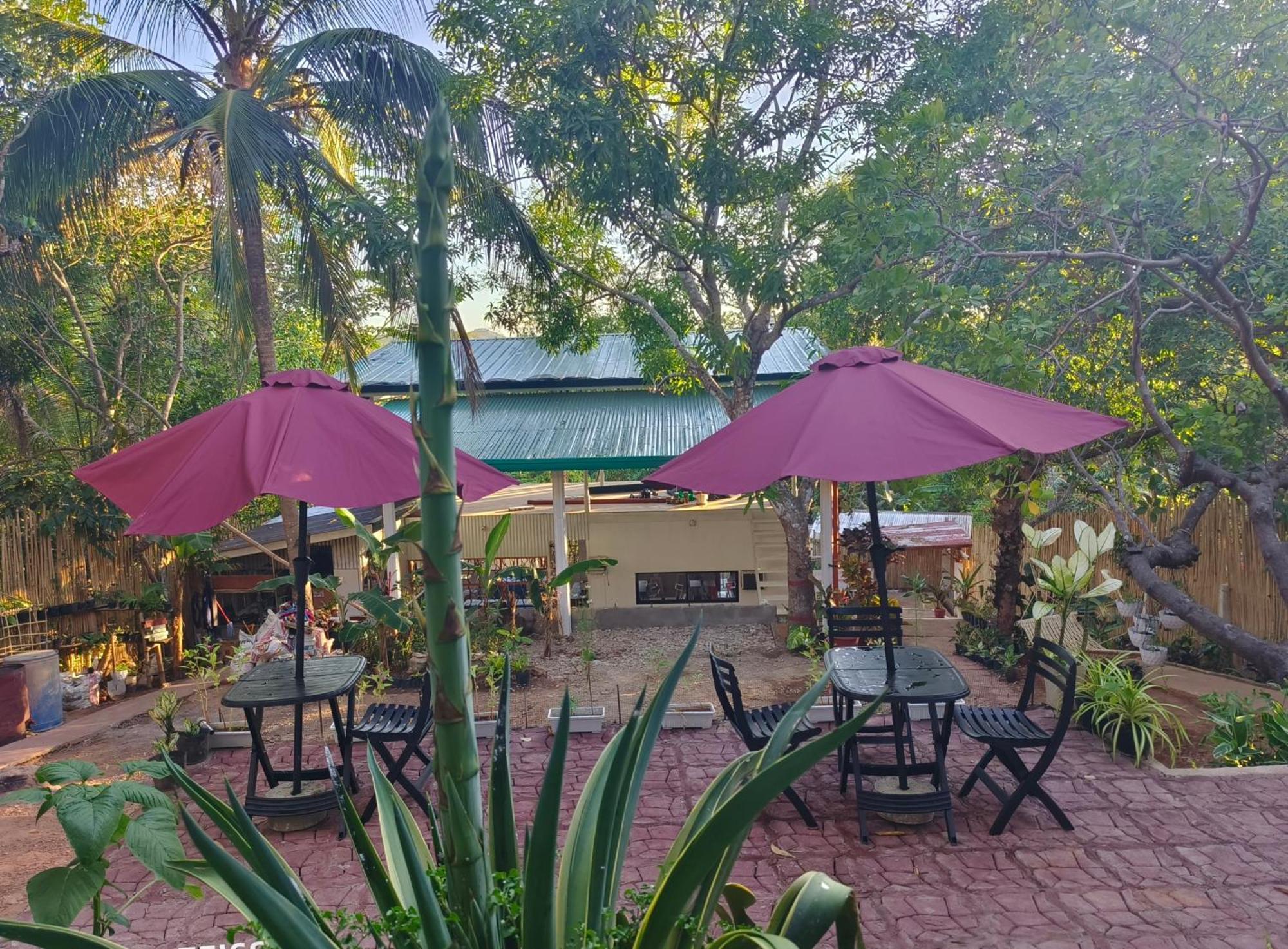 Ani Marie Guest House Coron Esterno foto