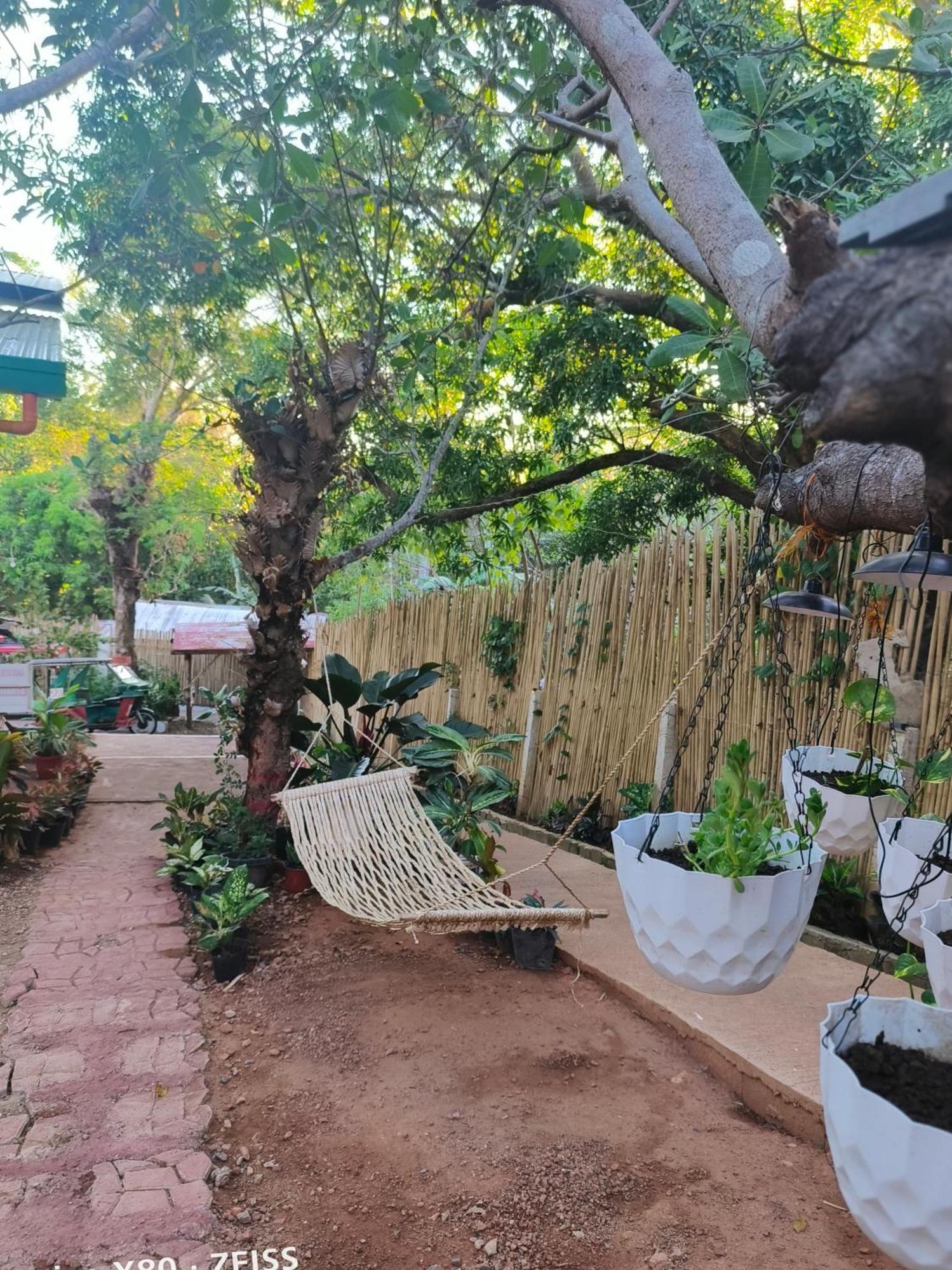 Ani Marie Guest House Coron Esterno foto
